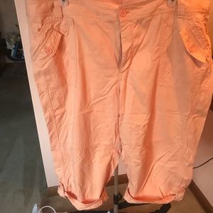 Venezia plus size Capri 26